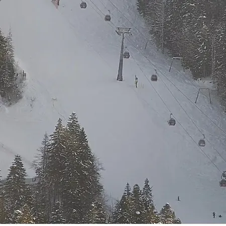 Alpin Poiana Brasov2409 *