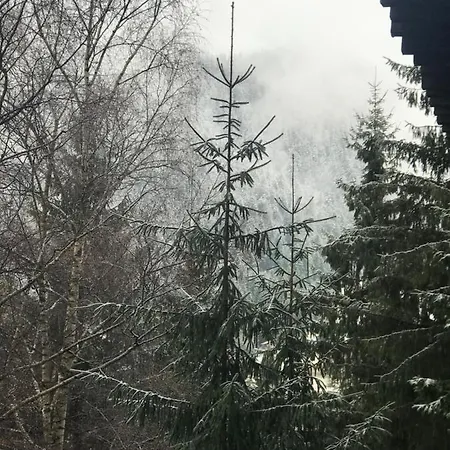 Alpin Poiana Brasov2409 Апартаменты