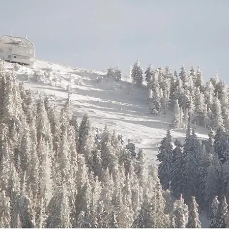 Alpin Poiana Brasov2409 アパート *