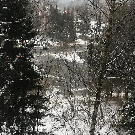 아파트 Alpin Poiana Brasov2409 *