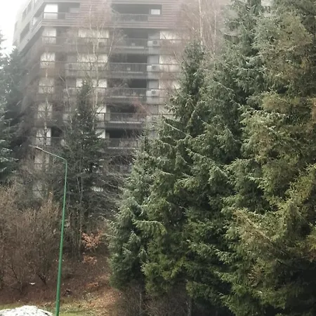 Lägenhet Alpin Poiana Brasov2409 *