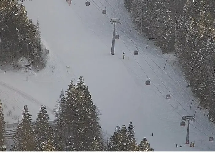 Alpin Poiana Brasov2409 *