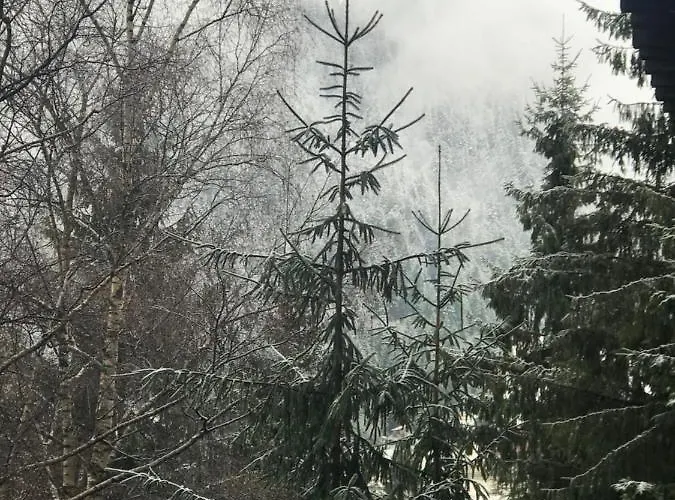 Alpin Poiana Brasov2409 Apartamento