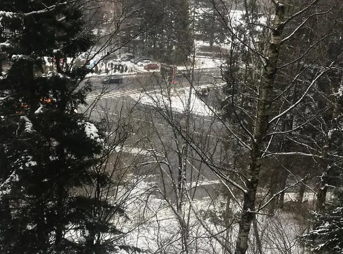 Apartamento Alpin Poiana Brasov2409 *